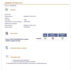 Report su Azienda